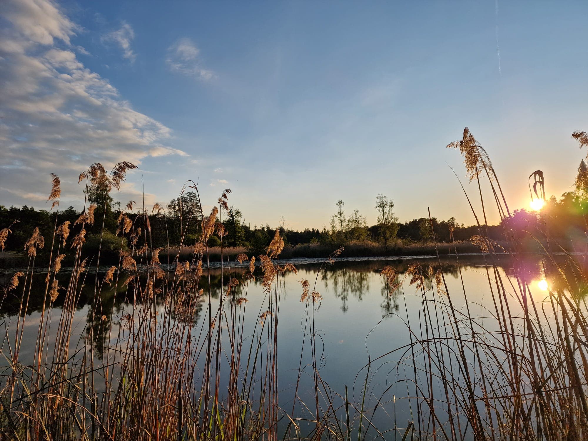 Wunderschöne Atmosphäre in Ossingen